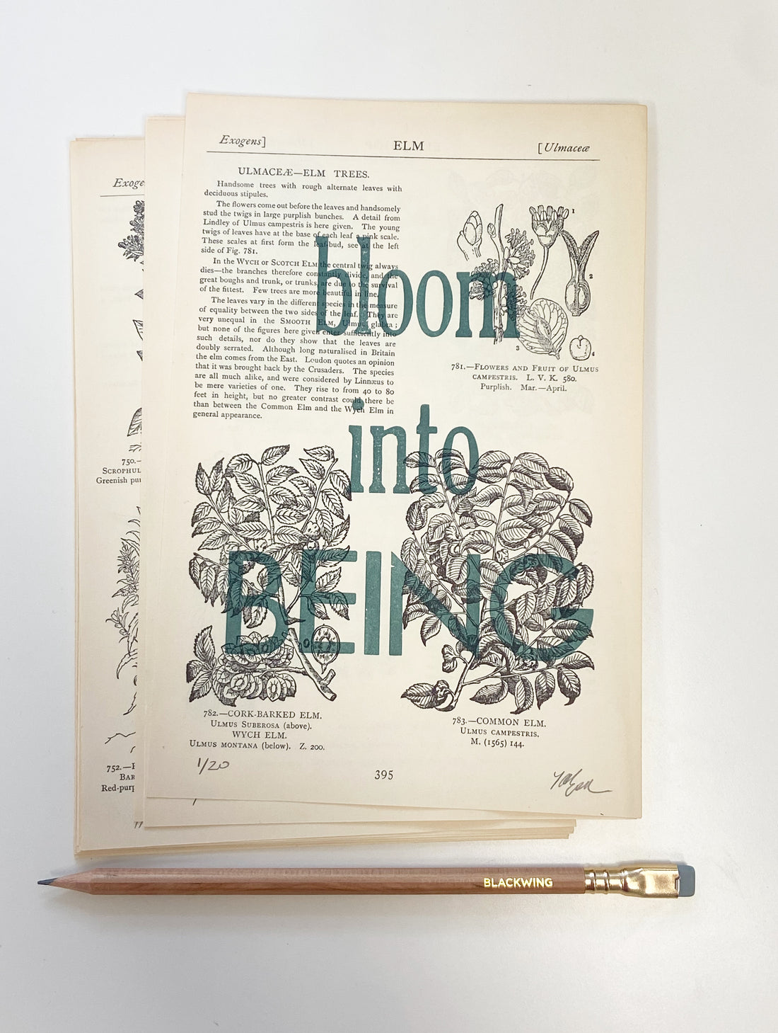 "Bloom into Being" letterpress print