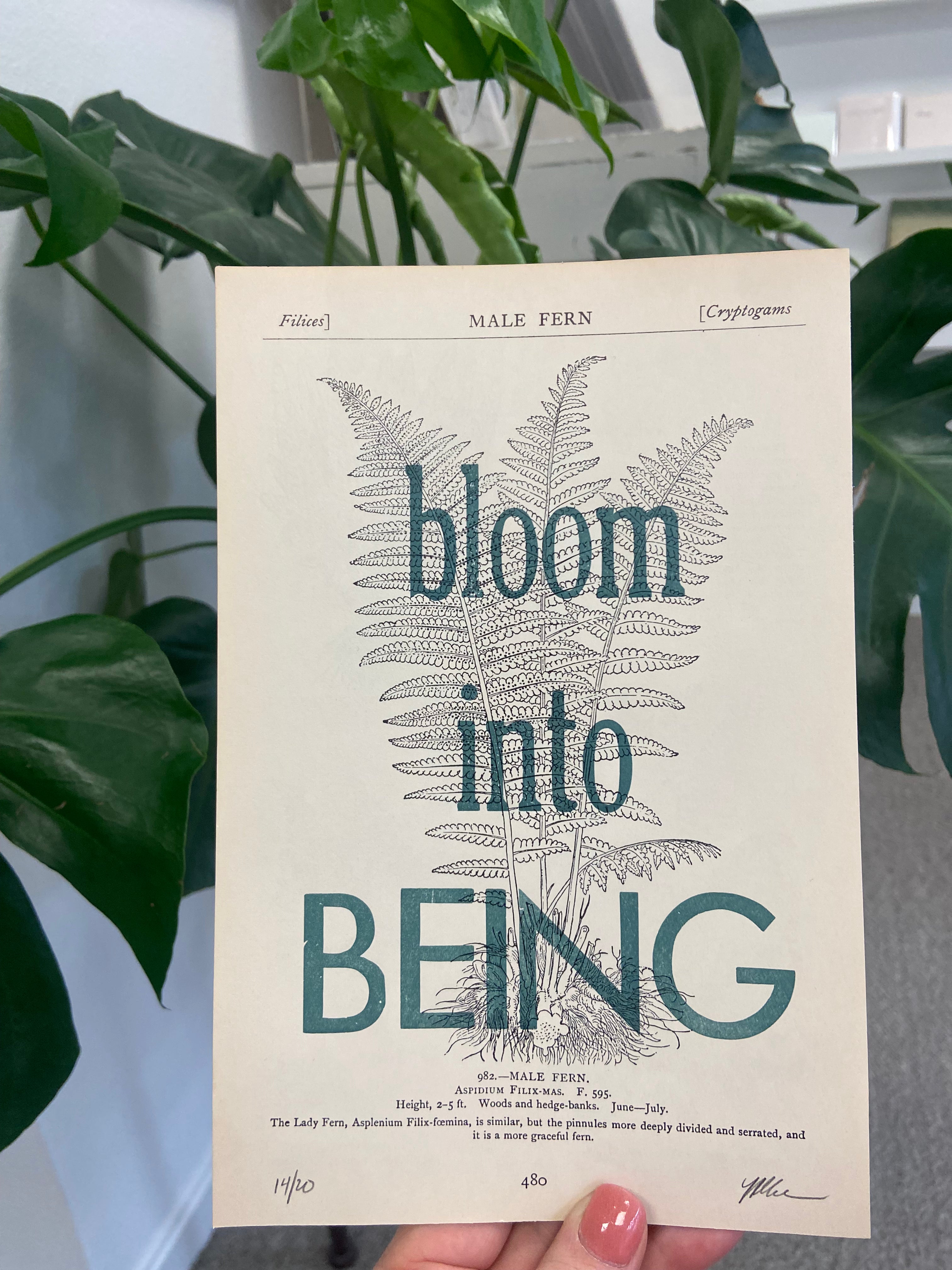 Fern-themed poster with text &
