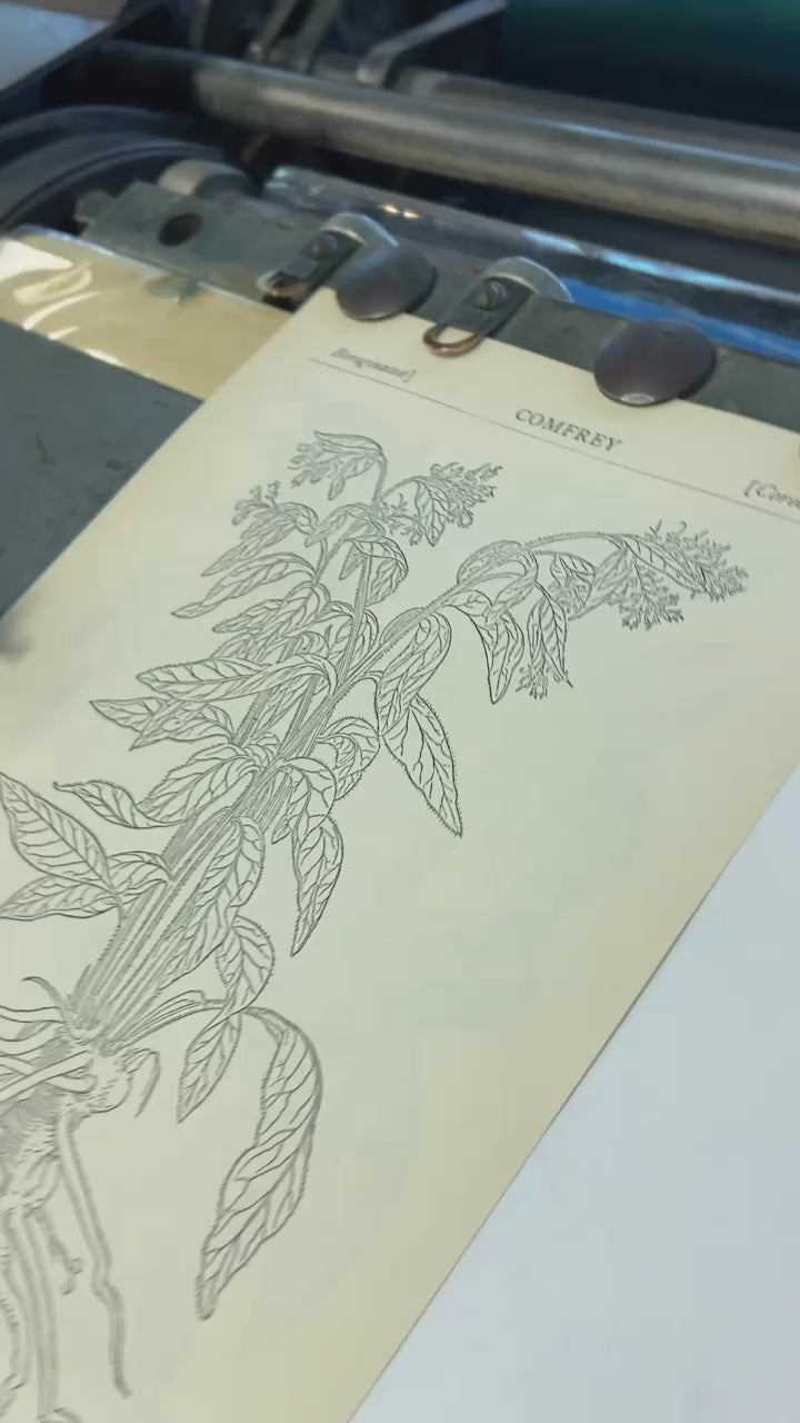video of printing "bloom into BEING" on Vandercook proof press