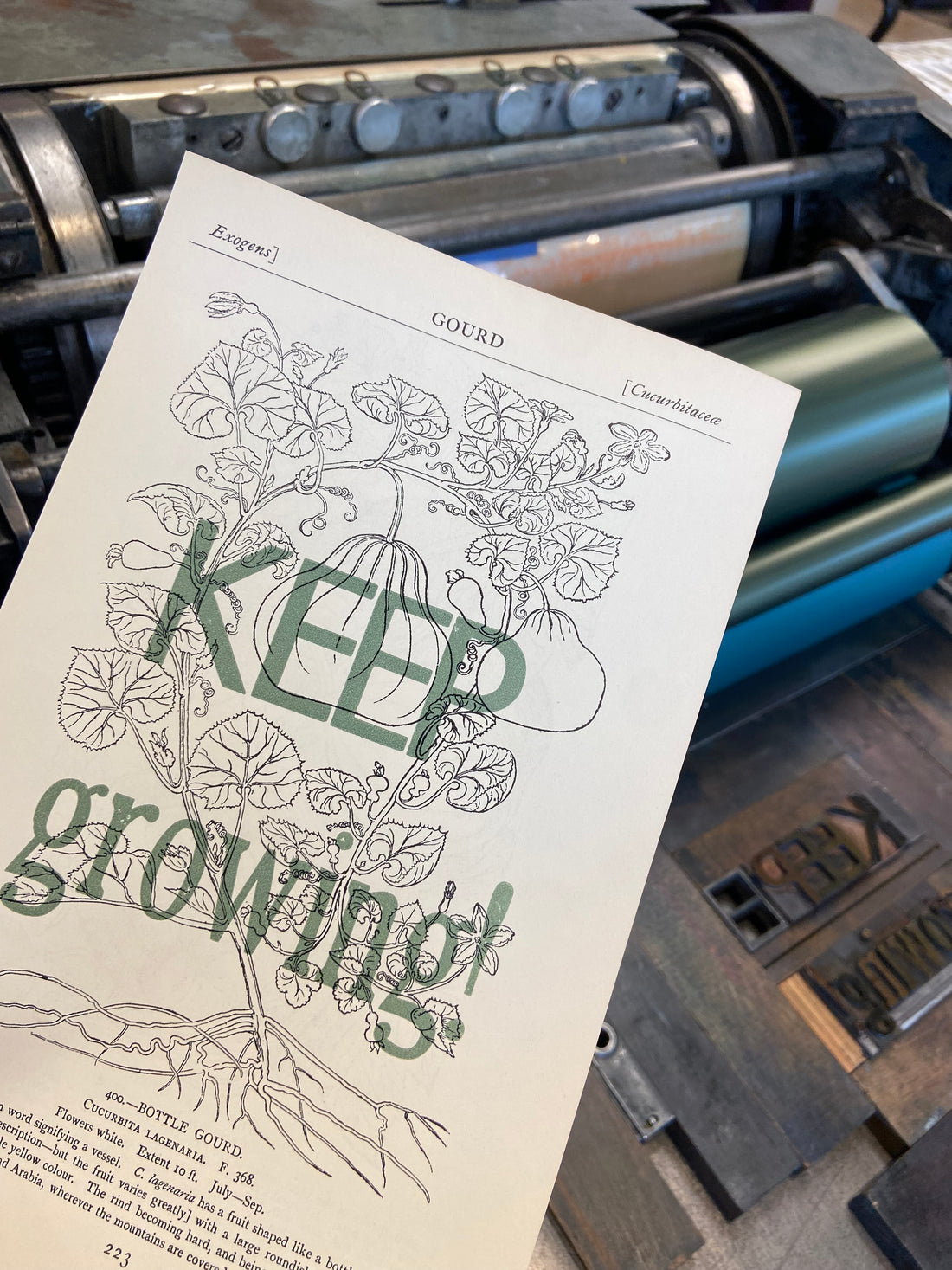 "Keep Growing" letterpress print