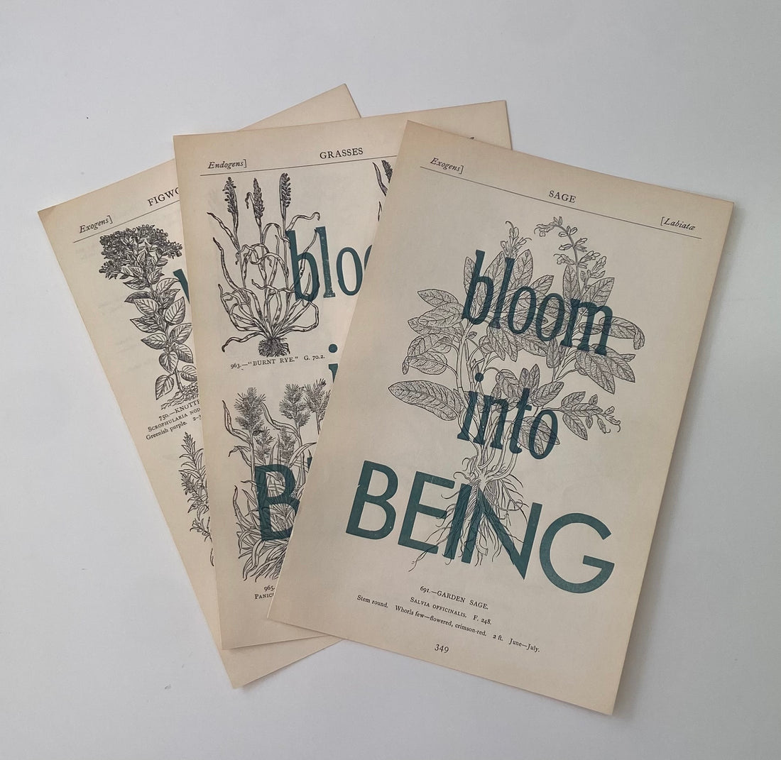 "Bloom into Being" letterpress print